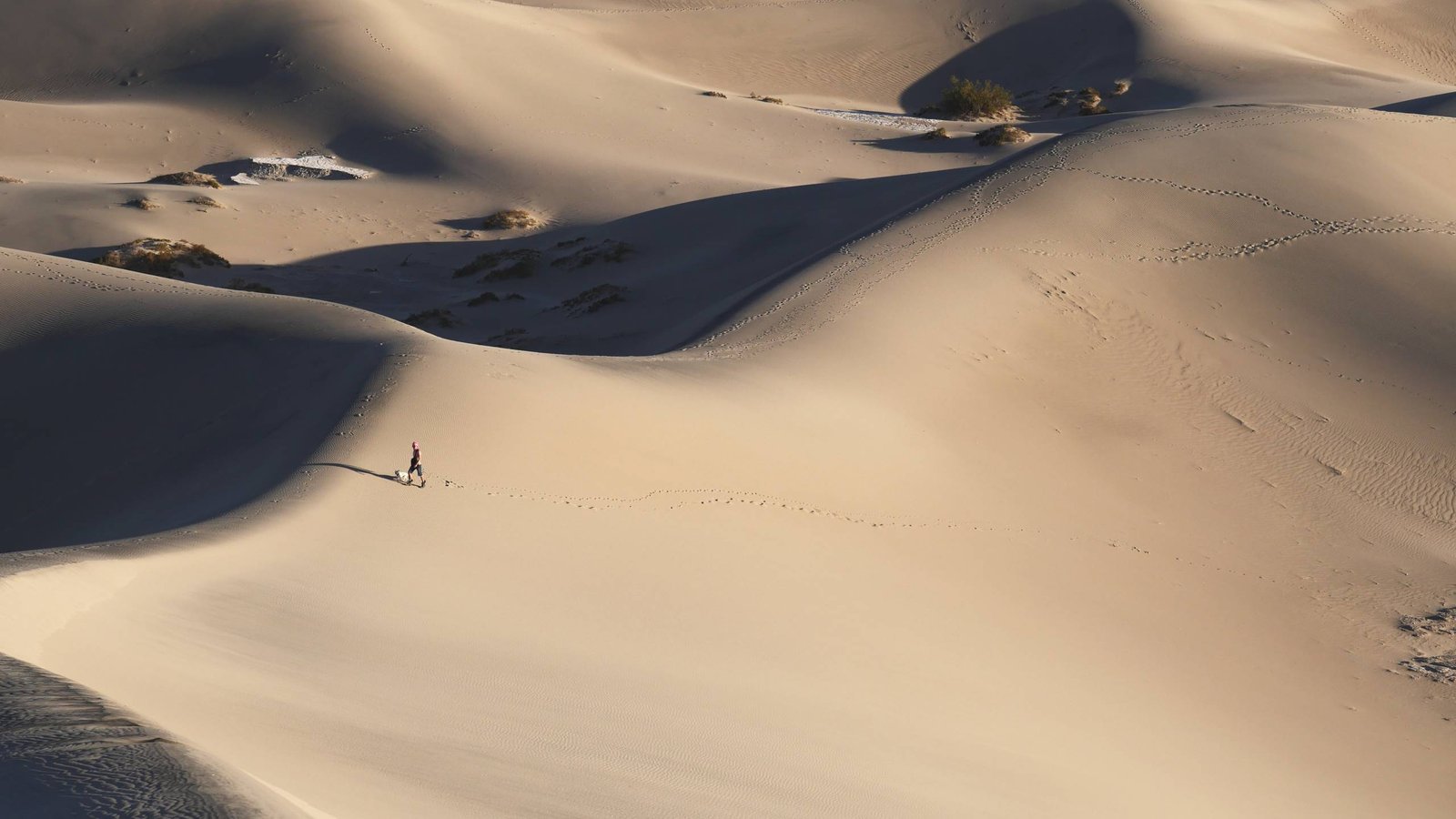 myoung kang 569499 unsplash (custom)